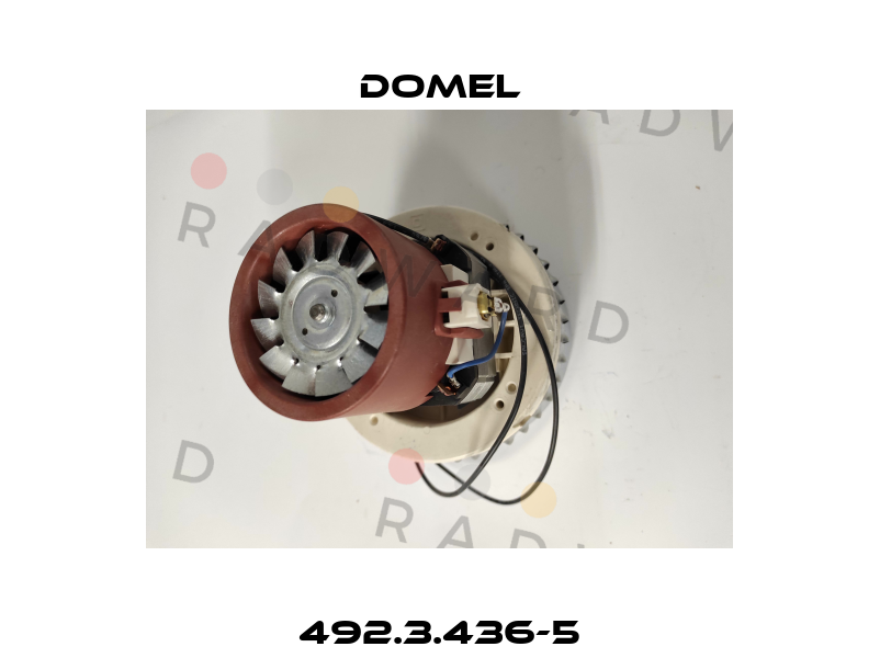 Domel-492.3.436-5 price